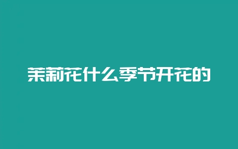 茉莉花什么季节开花的-会东网