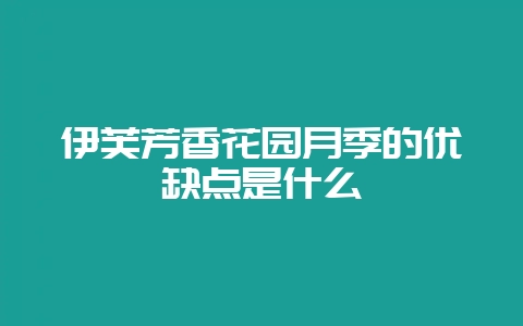 伊芙芳香花园月季的优缺点是什么-会东网