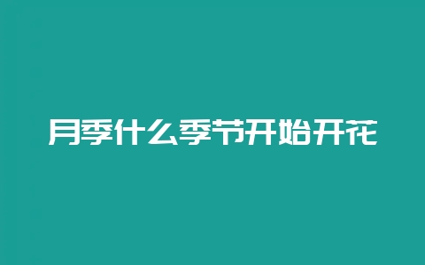 月季什么季节开始开花-会东网