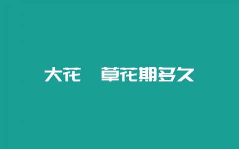 大花萱草花期多久-会东网