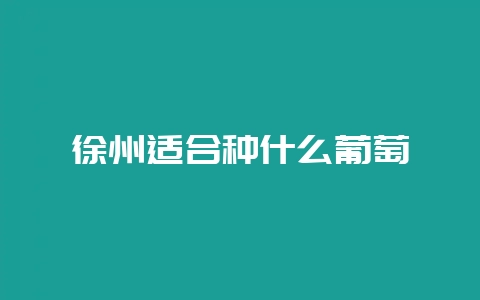 徐州适合种什么葡萄-会东网