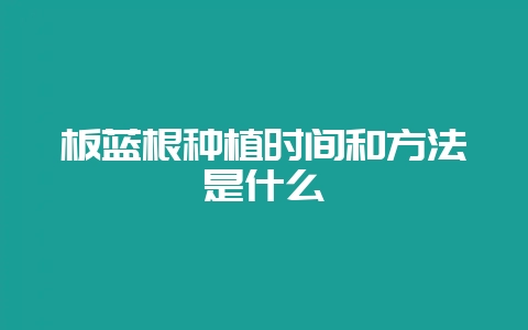 板蓝根种植时间和方法是什么-会东网