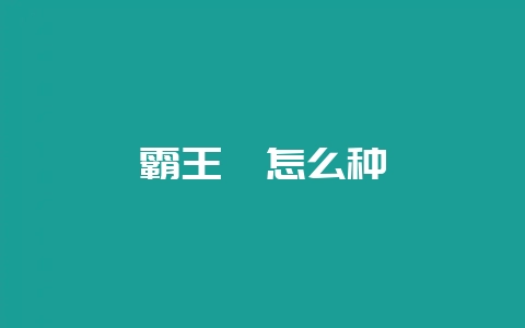 霸王蕨怎么种-会东网