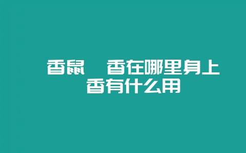 麝香鼠麝香在哪里身上麝香有什么用-会东网