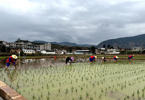 会东县有哪些乡镇（会东乡镇介绍）-会东网