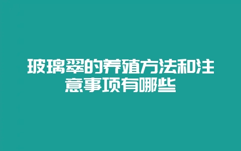 玻璃翠的养殖方法和注意事项有哪些-会东网