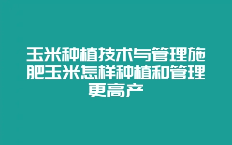 玉米种植技术与管理施肥玉米怎样种植和管理更高产-会东网