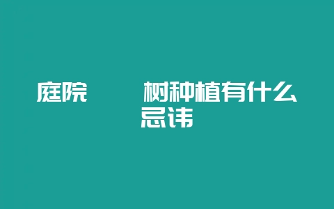 庭院枇杷树种植有什么忌讳-会东网
