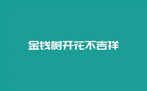 金钱树开花不吉祥-会东网