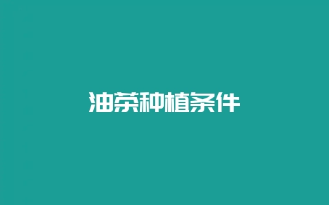 油茶种植条件-会东网