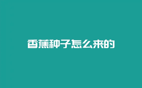 香蕉种子怎么来的-会东网