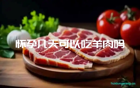 怀孕几天可以吃羊肉吗-会东网