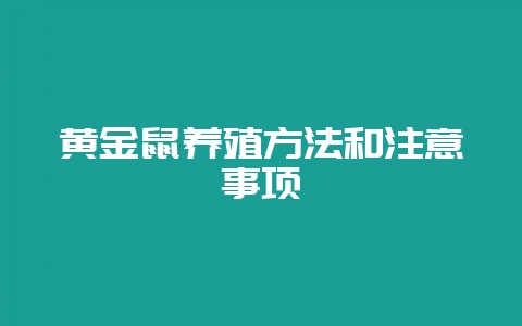 黄金鼠养殖方法和注意事项-会东网