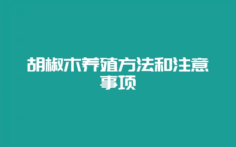胡椒木养殖方法和注意事项-会东网
