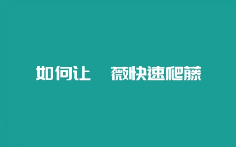如何让蔷薇快速爬藤-会东网