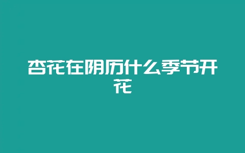 会东网：杏花在阴历什么季节开花？-会东网