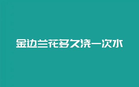 金边兰花多久浇一次水-会东网