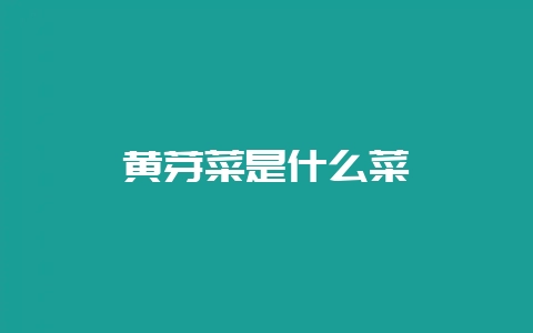 黄芽菜是什么菜-会东网