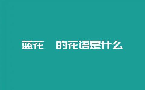 蓝花楹的花语是什么-会东网