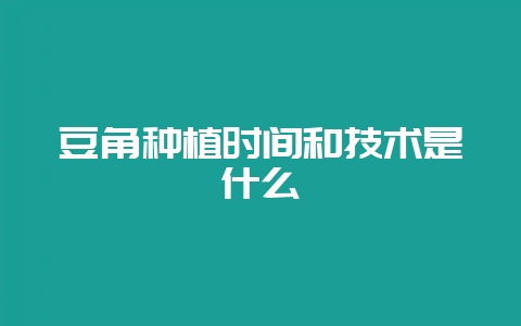 豆角种植时间和技术是什么-会东网