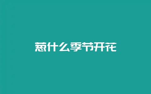 葱什么季节开花-会东网