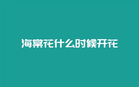 海棠花什么时候开花-会东网