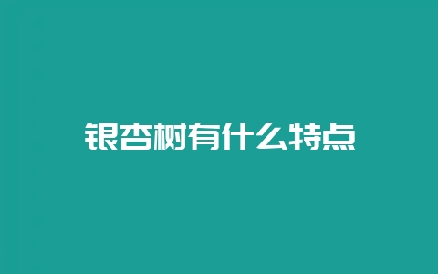 银杏树有什么特点-会东网