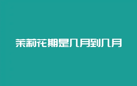 茉莉花期是几月到几月-会东网