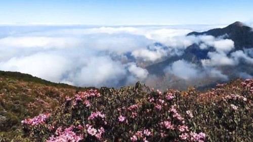 会理市海拔多少米？会理海拔多高？-会东网