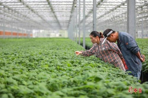 九幺抖音版（91农业种植网抖音版）——让农业种植变得更有趣插图1