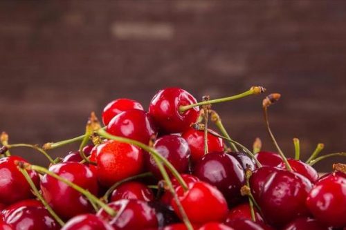 会东网：最佳大樱桃品种排行？目前最好的大樱桃品种排名？-会东网