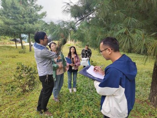 会东松籽：自然馈赠，品质之选插图2