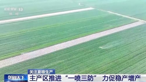 会东旱地小麦创高产纪录,全国小麦“一喷三防”促稳产增产插图4 会东旱地小麦创高产纪录,全国小麦“一喷三防”促稳产增产插图4