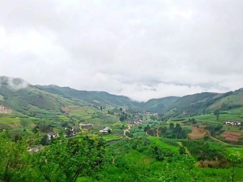 环境综治见效 幸福指数提高——铁柳镇“美丽乡村”行动掠影插图5