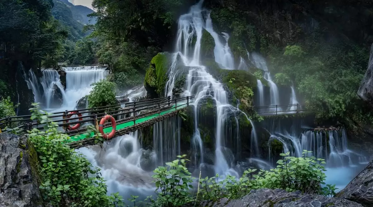 凉山州2024年上半年财政收入增长强劲，会东县疯涨插图1