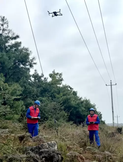 国网凉山会东县供电公司强化防山火工作，确保电网安全稳定运行-会东网