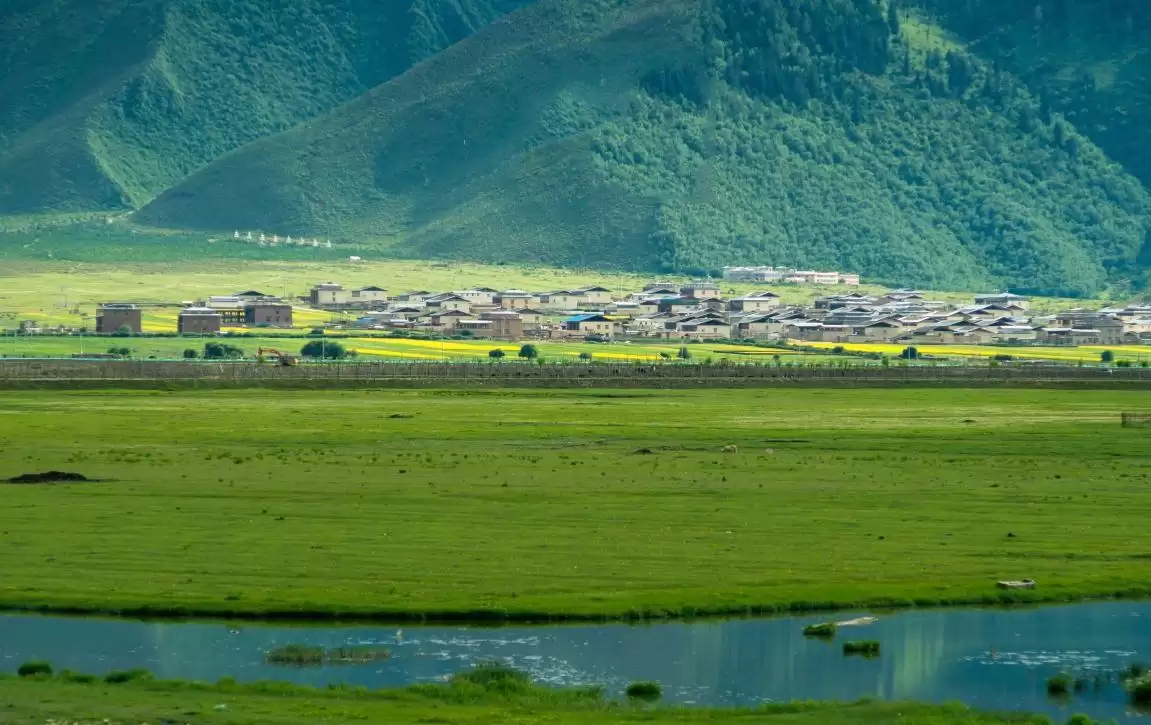 到云南必点的8道菜，吃出滇菜之魂插图1