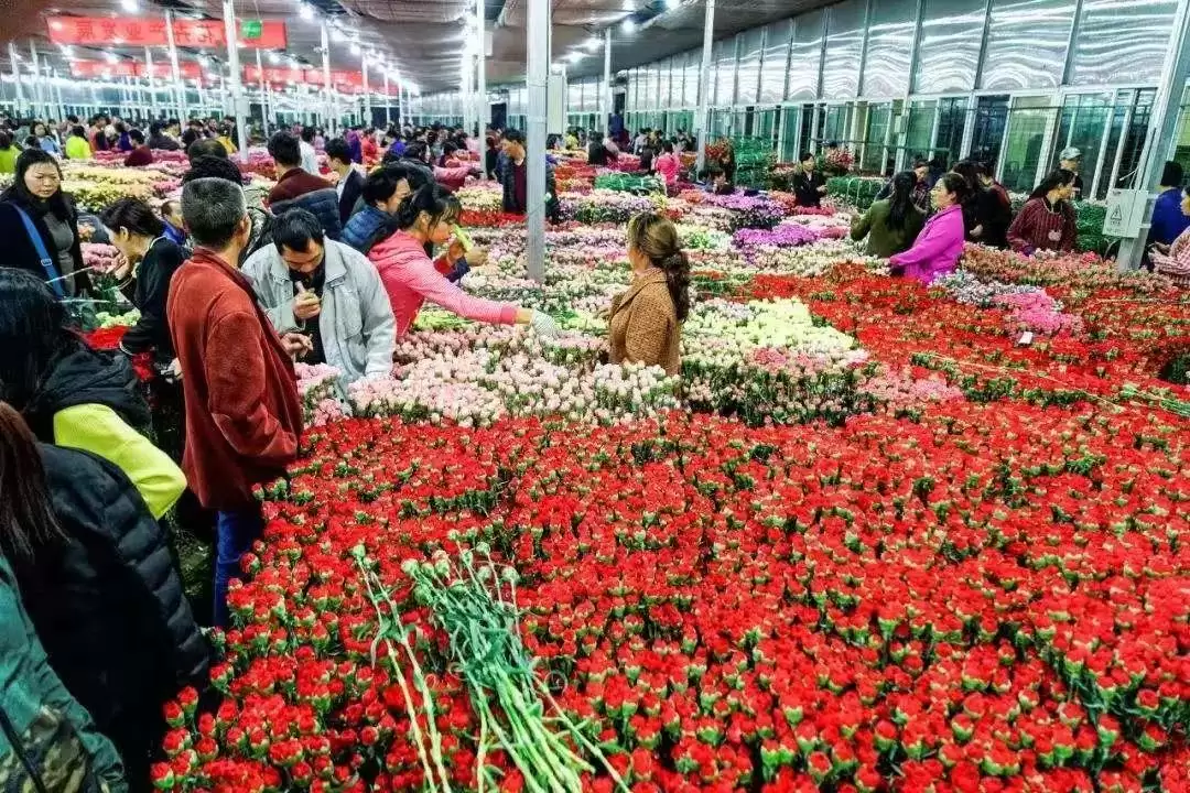 作为云南人，这些特色文化你都知道吗插图53