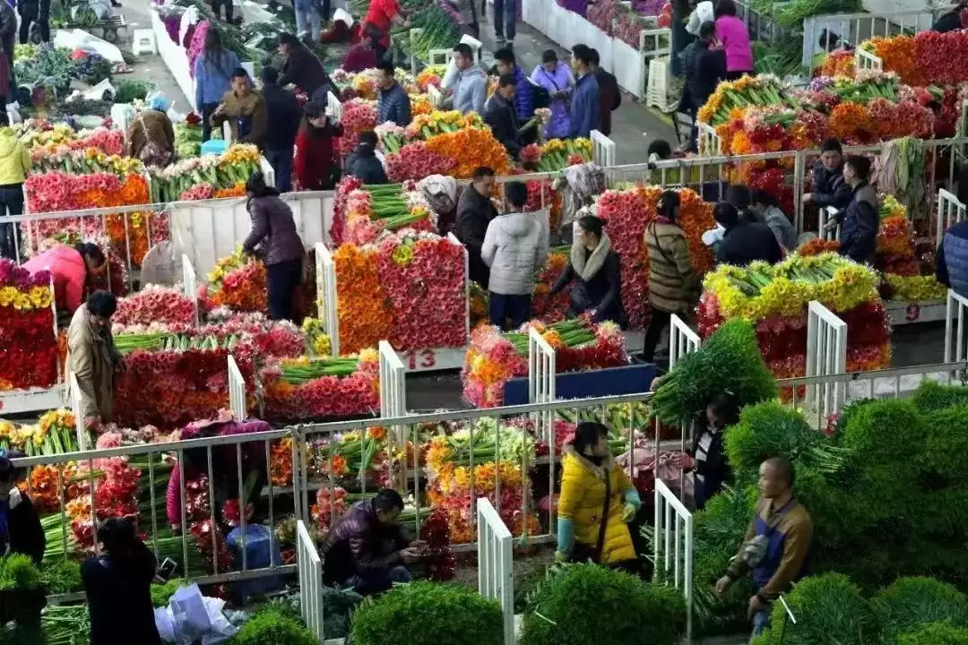 作为云南人，这些特色文化你都知道吗插图52