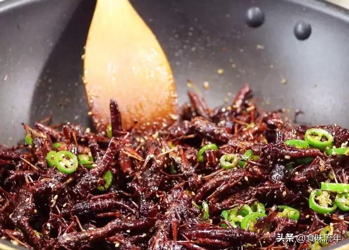 《春暖花开的中国》开播，云南12道美食曝光插图3