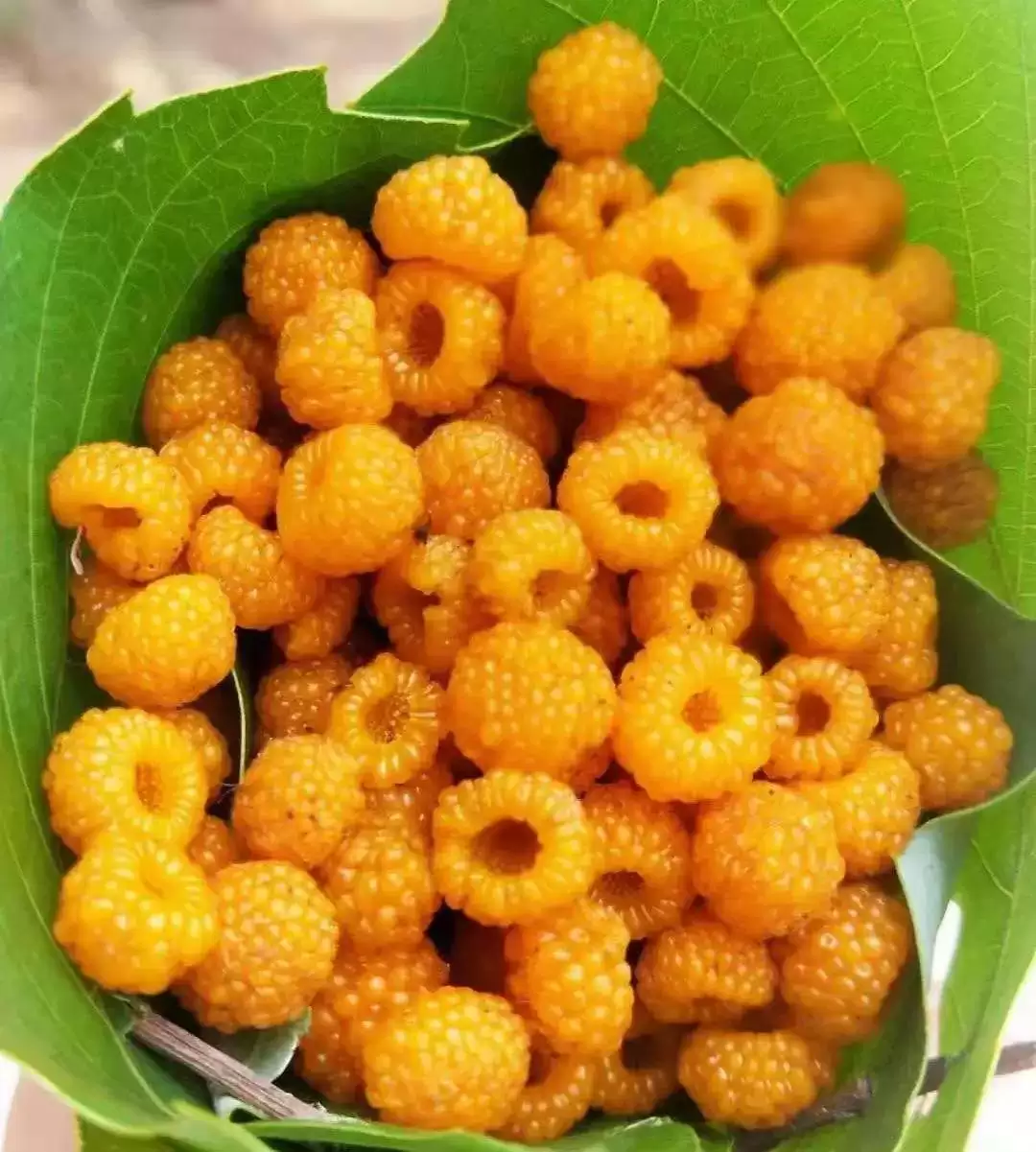 作为云南人，这些特色文化你都知道吗插图62