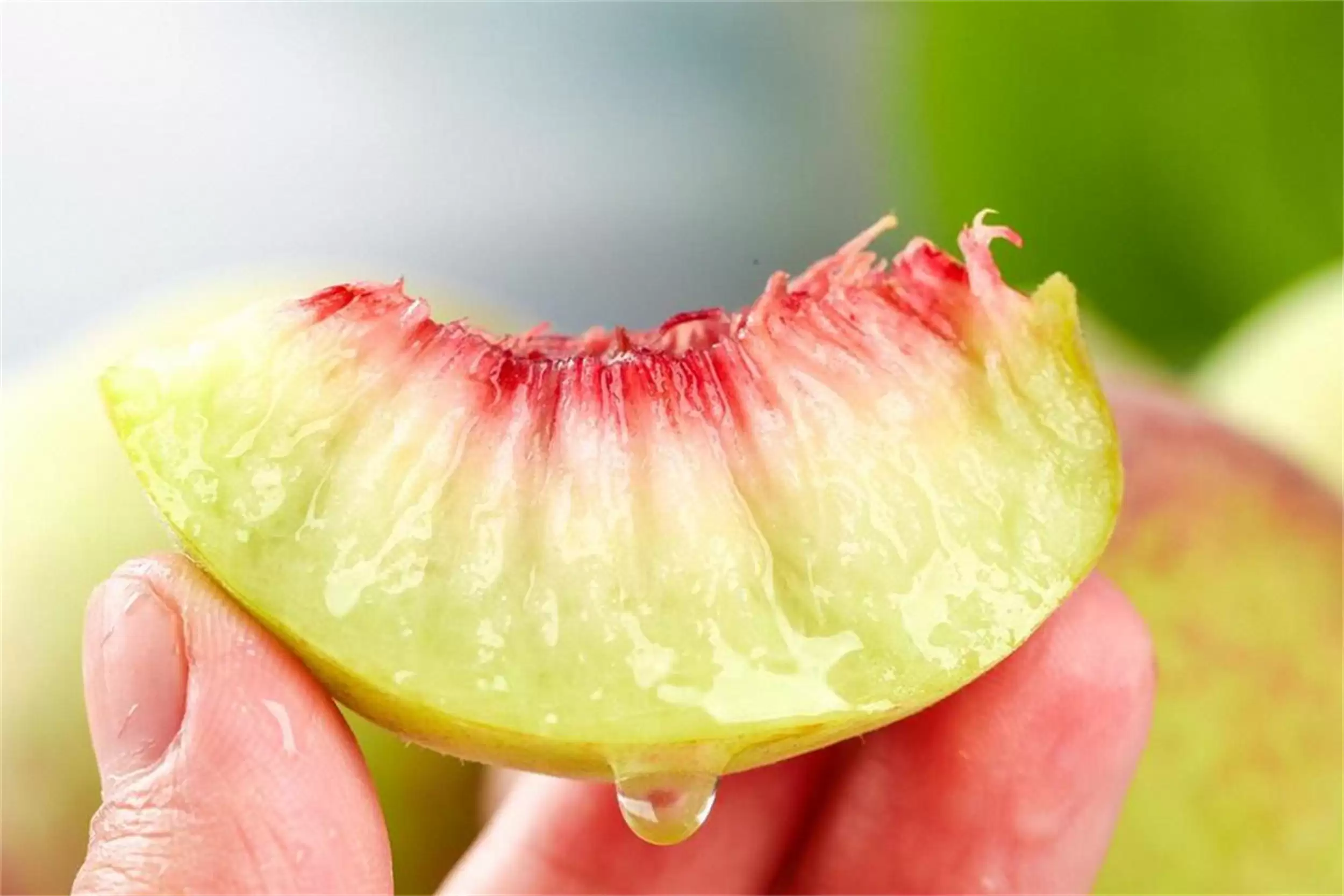 中国八地桃子大赏，香甜爽脆等你来尝插图4