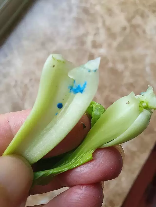 胖东来停卖蔬菜揭秘：农残问题引重视插图4