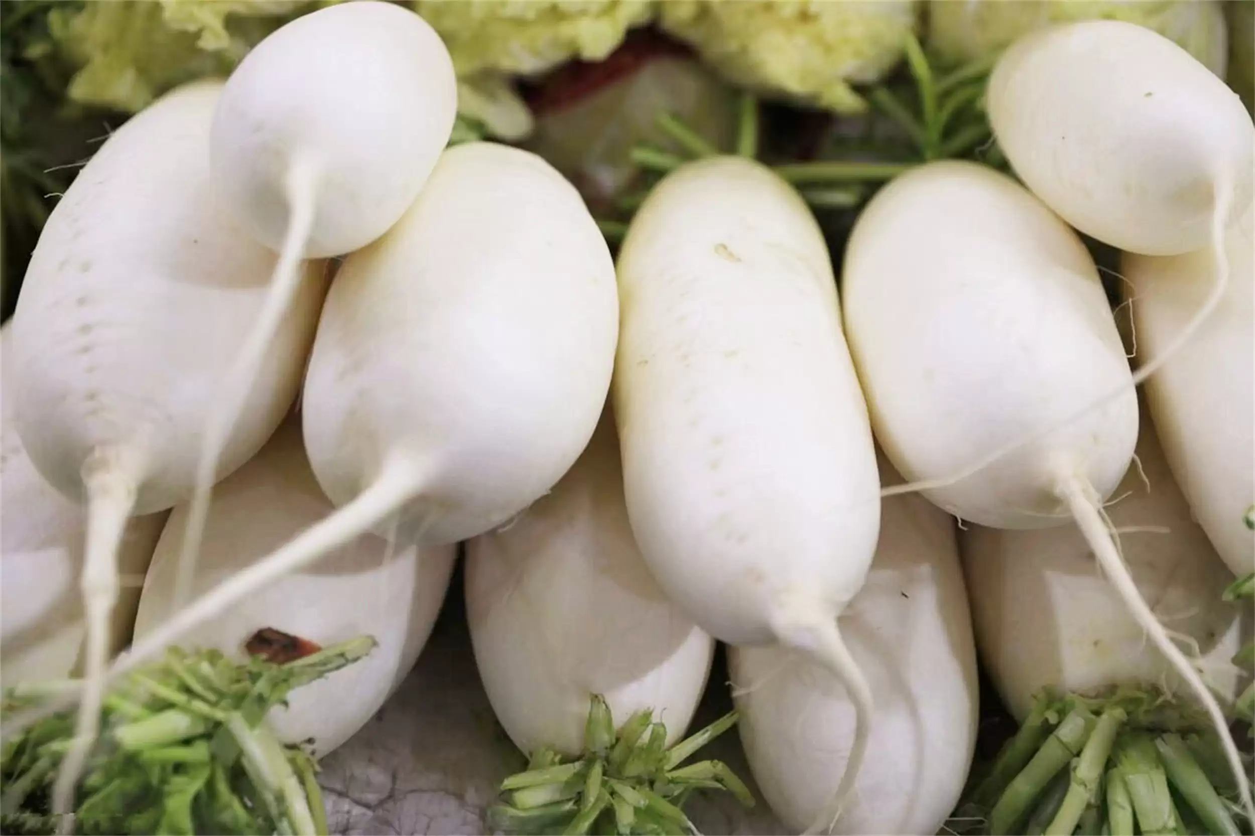 寒露饮食攻略：喝茶吃肉吃菜元气足插图15