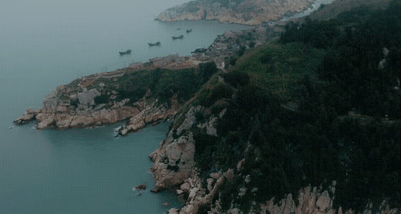 海边海鲜绝配：五种搭配尽显巧思插图23