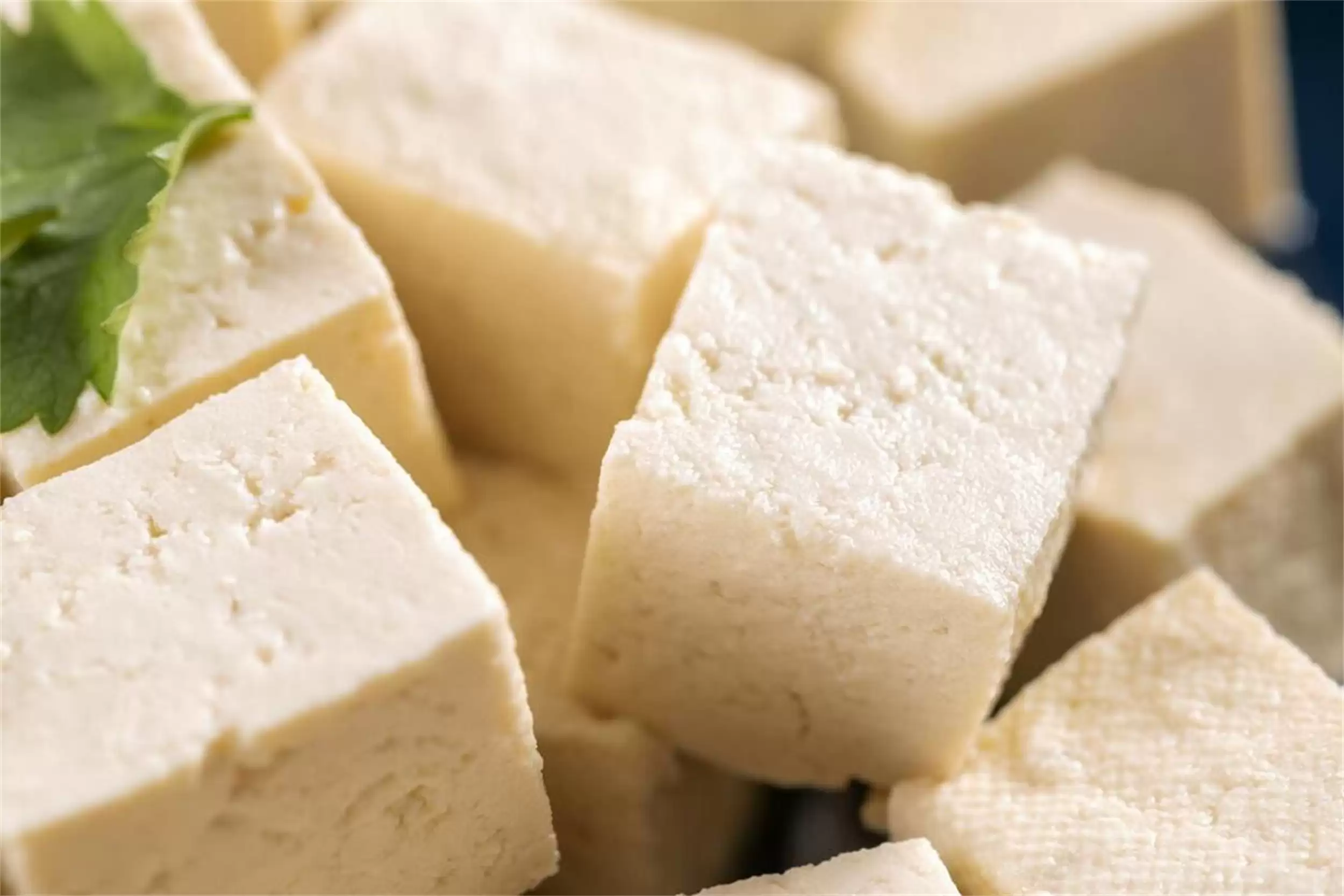 中国豆腐之乡：九地美味豆腐大比拼插图2