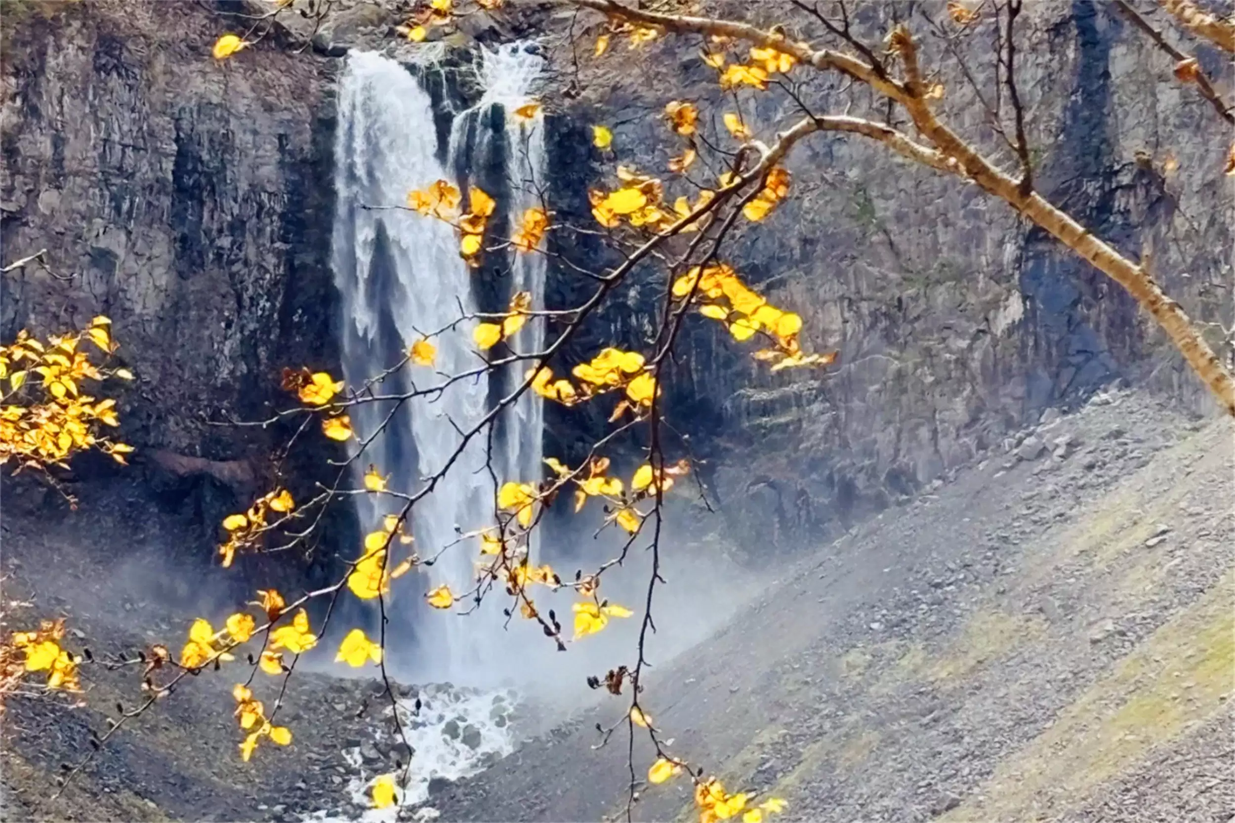 秋天最美城市：五地秋季盛景等你来插图7
