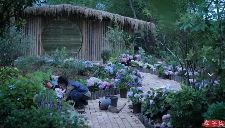 李子柒回归，全手工打造田园生活新篇插图50
