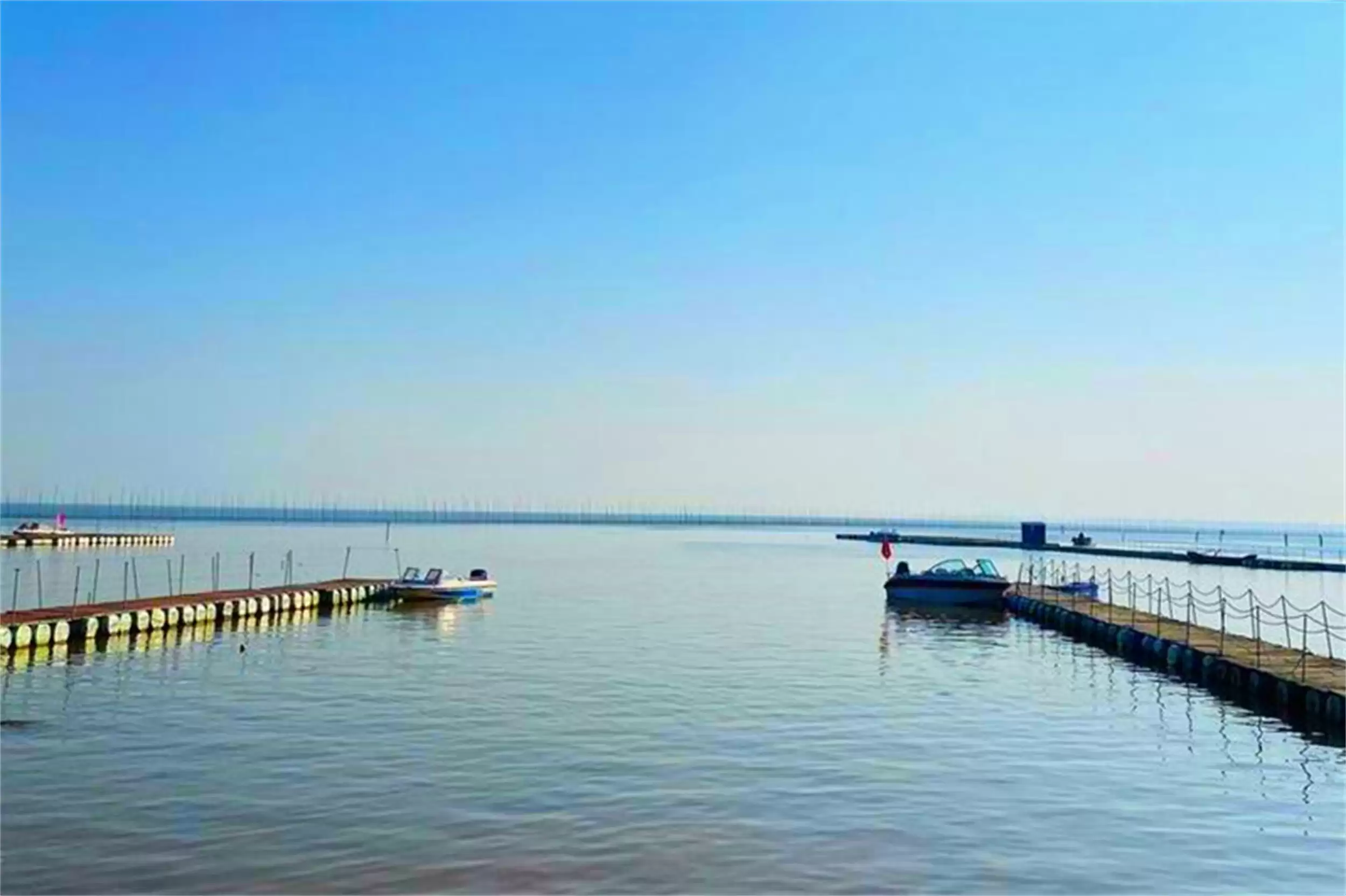 除阳澄城外的螃蟹推荐：六种名蟹待品尝插图10