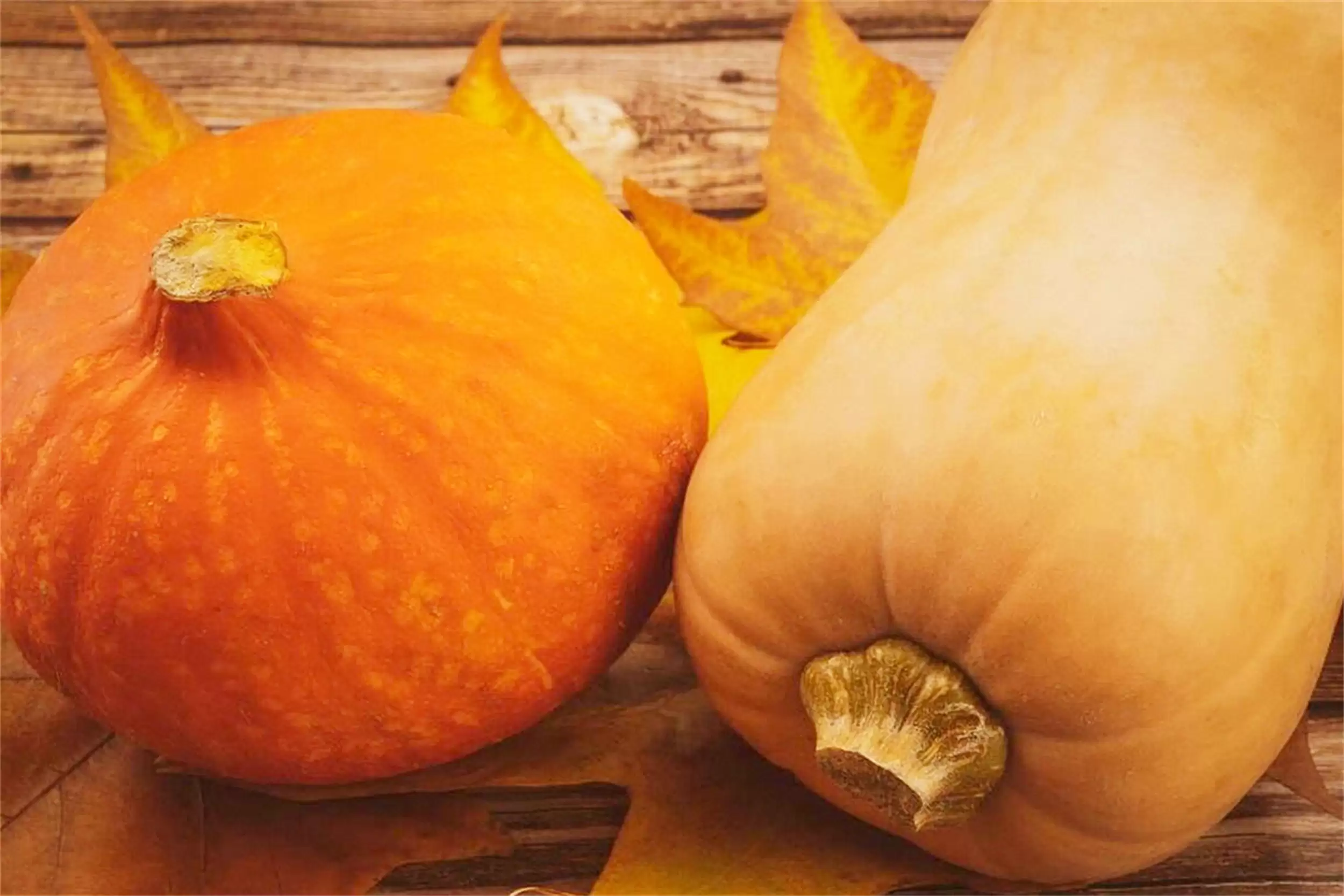 寒露养生食材：五种“黄金食材”插图4